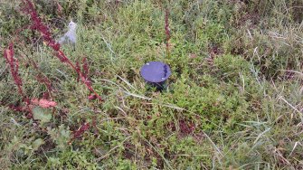 Archaeological evaluation, Ground vent, LIDL Alderstone Road, Almondvale, Livingstone