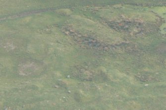 Oblique aerial view of Mulchaich, Ferintosh, Black Isle, looking SE.