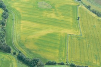 Aerial view of Tarradale Enclosure/Fort cropmarks, Beauly Firth, looking S.