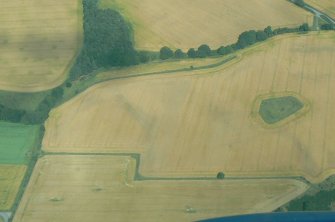 Oblique aerial view of Tarradale, N side of Beauly Firth, looking N.