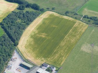 Near aerial view of enclosure cropmarks in field near Windhill, Muir of Ord, Black Isle, looking SE.