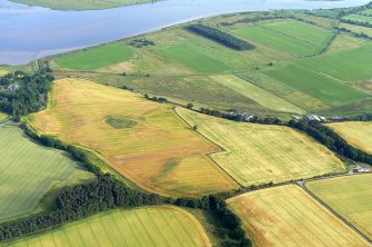 Oblique aerial view of Pictish cemetery at Tarradale on the north shore of the Beauly Firth, looking SE.