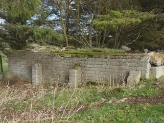 Brick supports for a timber floor in a barrack block at the ENE end of a barracks adjacent to a washroom wall