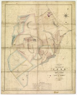 Park Estate.
Estate plan.