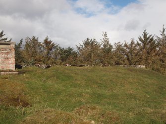 The earthwork protecting the crew shelter on the SE of the NE Emplacement 