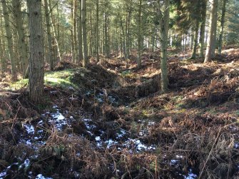 General view of the bank and ditch at the NW 