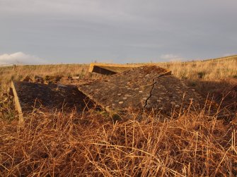 View from the S of flat, reinforced cast concrete roofs amongst the debris 