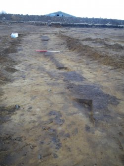 Archaeological excavation, Post-excavation of linear feature [358], Balmakeith Industrial Estate