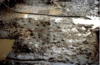Data structure report plate 7: 'View of group 2 stakes looking S', Archaeological excavation, St. Patrick's Church, Cowgate, Edinburgh