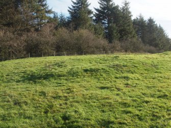 The more northerly oval earthwork from the SW showing the entrance 