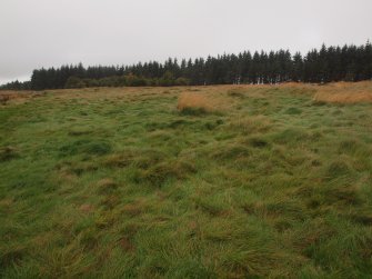 A small circular earthwork with an encircling bank and a central mound 