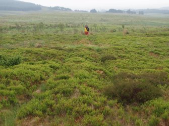 A bank forming one side of the decoy enclosure 