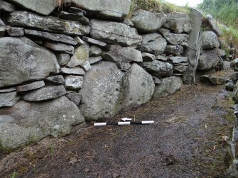 Digital photograph of panel to south-east, from Scotland's Rock Art Project, Tealing 1, Tealing, Angus