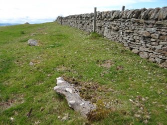 Digital photograph of panel in context without scale, from Scotland's Rock Art Project, Turin Hill 5, Turin Hill, Angus