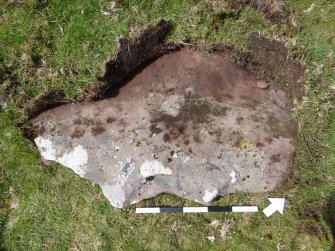 Digital photograph of perpendicular to carved surface(s), from Scotland's Rock Art Project, Turin Hill 5, Turin Hill, Angus
