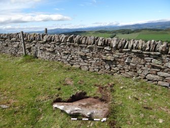 Digital photograph of panel to north-west, from Scotland's Rock Art Project, Turin Hill 5, Turin Hill, Angus