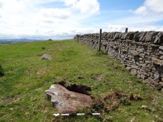 Digital photograph of panel to west, from Scotland's Rock Art Project, Turin Hill 5, Turin Hill, Angus