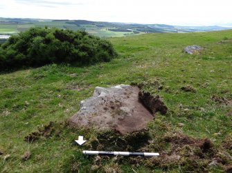 Digital photograph of panel to south, from Scotland's Rock Art Project, Turin Hill 5, Turin Hill, Angus