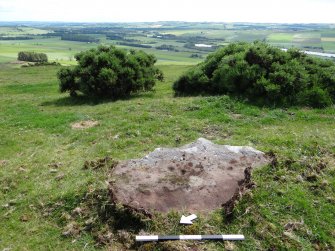 Digital photograph of panel to south-east, from Scotland's Rock Art Project, Turin Hill 5, Turin Hill, Angus