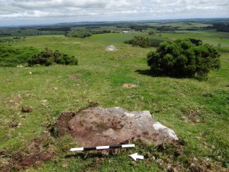 Digital photograph of panel to east, from Scotland's Rock Art Project, Turin Hill 5, Turin Hill, Angus