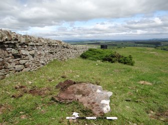 Digital photograph of panel to north, from Scotland's Rock Art Project, Turin Hill 5, Turin Hill, Angus