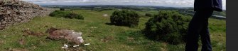 Digital photograph of rock art panel context, Scotland's Rock Art Project, Turin Hill 5, Turin Hill, Angus
