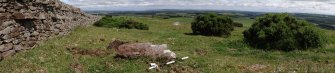 Digital photograph of panorama, from Scotland's Rock Art Project, Turin Hill 5, Turin Hill, Angus
