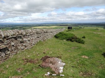 Digital photograph of panel in context with scale, from Scotland's Rock Art Project, Turin Hill 5, Turin Hill, Angus