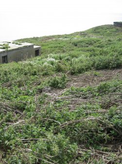 Archaeological survey phase 1, Linear rubble feature near structure 1 - SE, Inchkeith Island, Firth of Forth