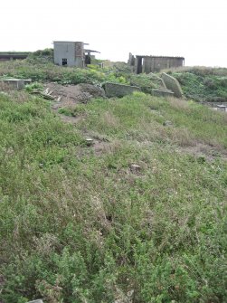 Archaeological survey phase 1, Area D - S, Inchkeith Island, Firth of Forth, Fife