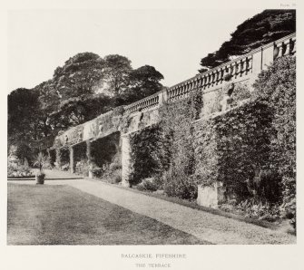 Balcaskie Garden  - photograph of terrace