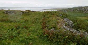 Digital photograph of rock art panel context, Scotland's Rock Art Project, Clachan Ard, Bute, Argyll and Bute