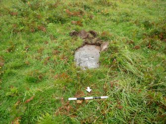 Digital photograph of rock art panel context, Scotland's Rock Art Project, Clachan Ard, Bute, Argyll and Bute