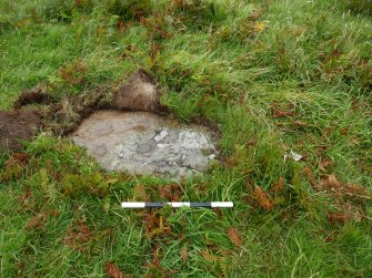 Digital photograph of rock art panel context, Scotland's Rock Art Project, Clachan Ard, Bute, Argyll and Bute