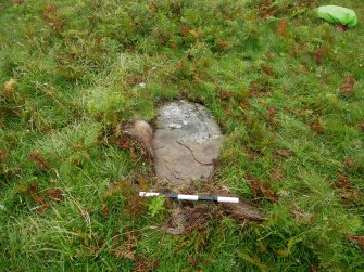 Digital photograph of rock art panel context, Scotland's Rock Art Project, Clachan Ard, Bute, Argyll and Bute