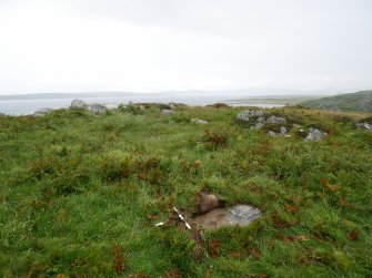 Digital photograph of rock art panel context, Scotland's Rock Art Project, Clachan Ard, Bute, Argyll and Bute