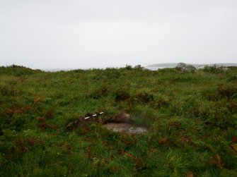 Digital photograph of rock art panel context, Scotland's Rock Art Project, Clachan Ard, Bute, Argyll and Bute