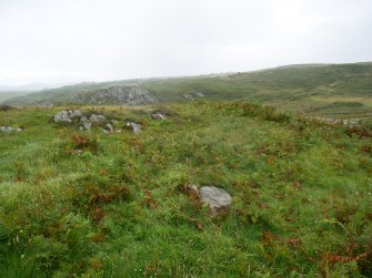 Digital photograph of rock art panel context, Scotland's Rock Art Project, Clachan Ard, Bute, Argyll and Bute