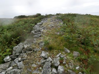 Digital photograph of panel to south, from Scotland's Rock Art Project, Clachan Ard, Bute, Argyll and Bute