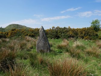 Digital photograph of rock art panel context, Scotland's Rock Art Project, Craigberoch, Bute, Argyll and Bute