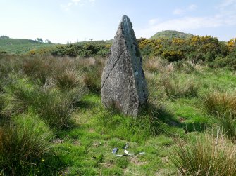 Digital photograph of rock art panel context, Scotland's Rock Art Project, Craigberoch, Bute, Argyll and Bute