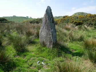 Digital photograph of rock art panel context, Scotland's Rock Art Project, Craigberoch, Bute, Argyll and Bute