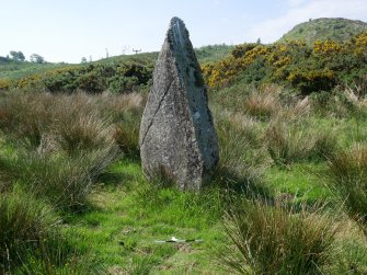 Digital photograph of rock art panel context, Scotland's Rock Art Project, Craigberoch, Bute, Argyll and Bute