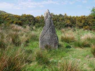 Digital photograph of rock art panel context, Scotland's Rock Art Project, Craigberoch, Bute, Argyll and Bute