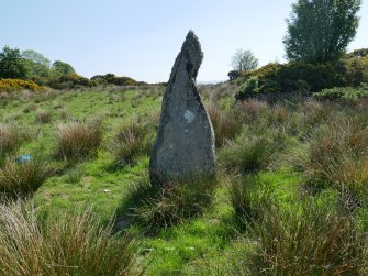 Digital photograph of rock art panel context, Scotland's Rock Art Project, Craigberoch, Bute, Argyll and Bute