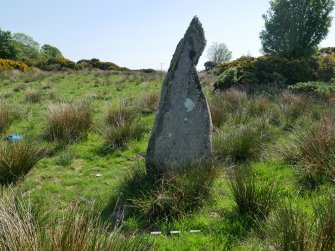 Digital photograph of rock art panel context, Scotland's Rock Art Project, Craigberoch, Bute, Argyll and Bute