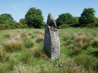 Digital photograph of rock art panel context, Scotland's Rock Art Project, Craigberoch, Bute, Argyll and Bute