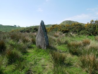 Digital photograph of rock art panel context, Scotland's Rock Art Project, Craigberoch, Bute, Argyll and Bute