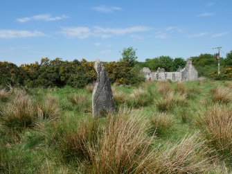 Digital photograph of rock art panel context, Scotland's Rock Art Project, Craigberoch, Bute, Argyll and Bute