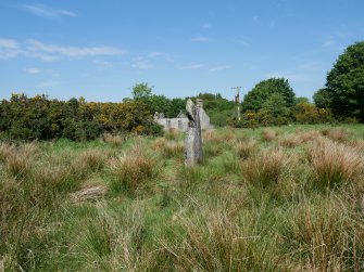 Digital photograph of rock art panel context, Scotland's Rock Art Project, Craigberoch, Bute, Argyll and Bute